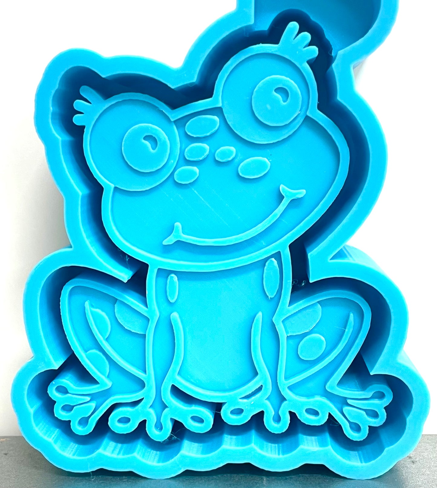 Cute Frog Mold