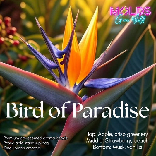 Bird of Paradise Prescented Aroma Beads