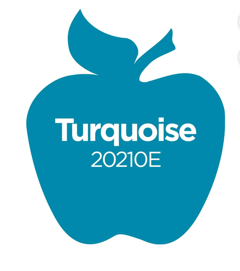 Apple Barrel Matte Acrylic Paint