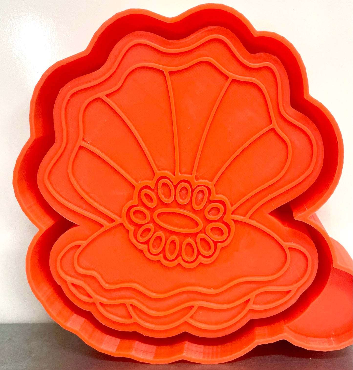 Concho Clam Shell Mold