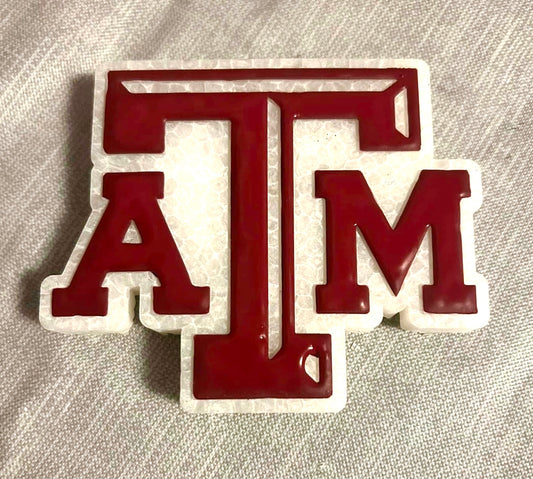 Texas College Sport Mold