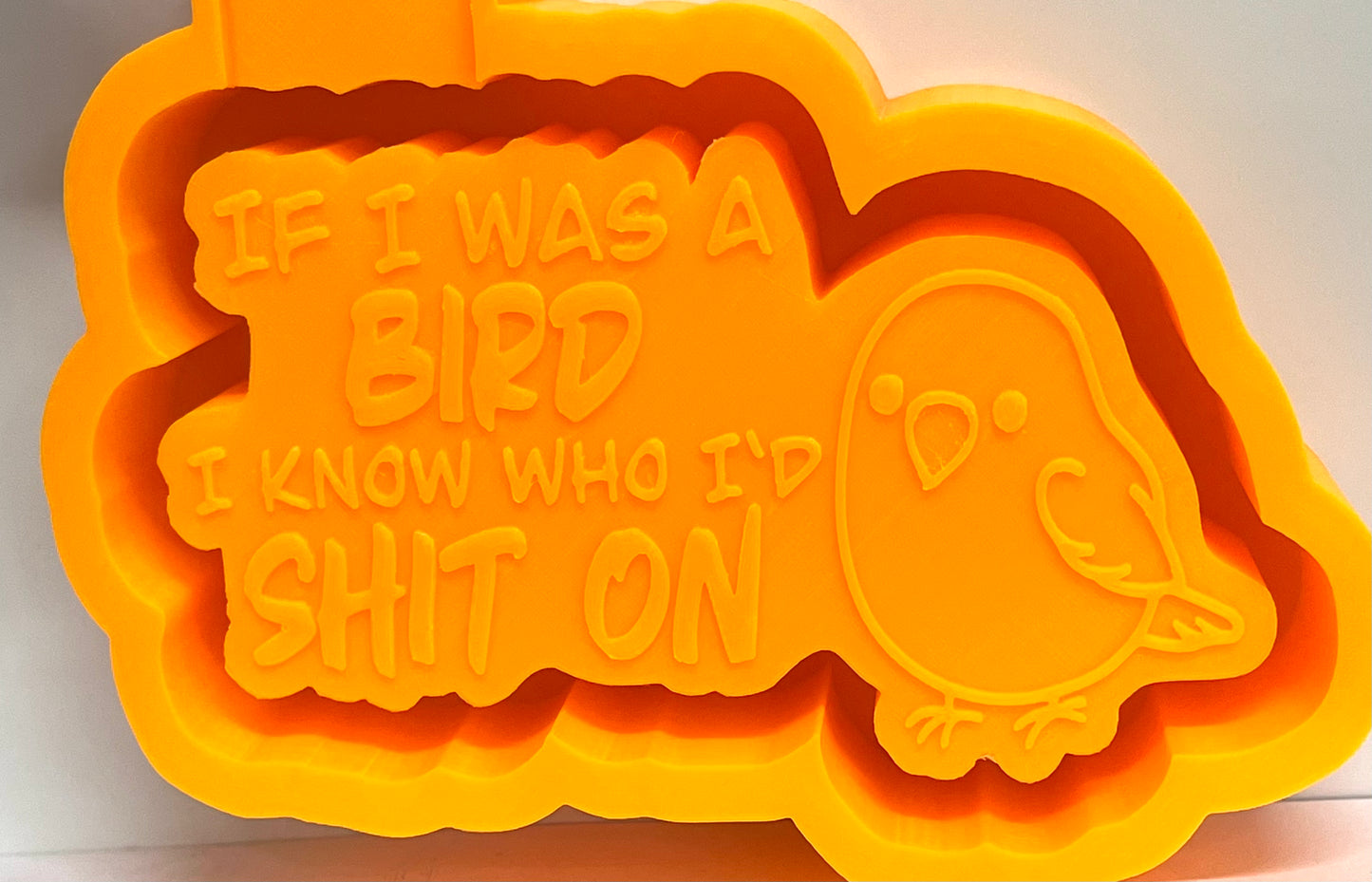 If I Was A Bird I Know Who I’d Shit On Mold