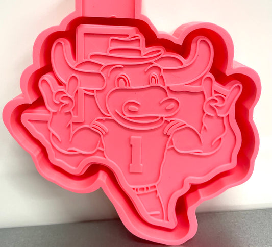 Texas College Football Team Mold