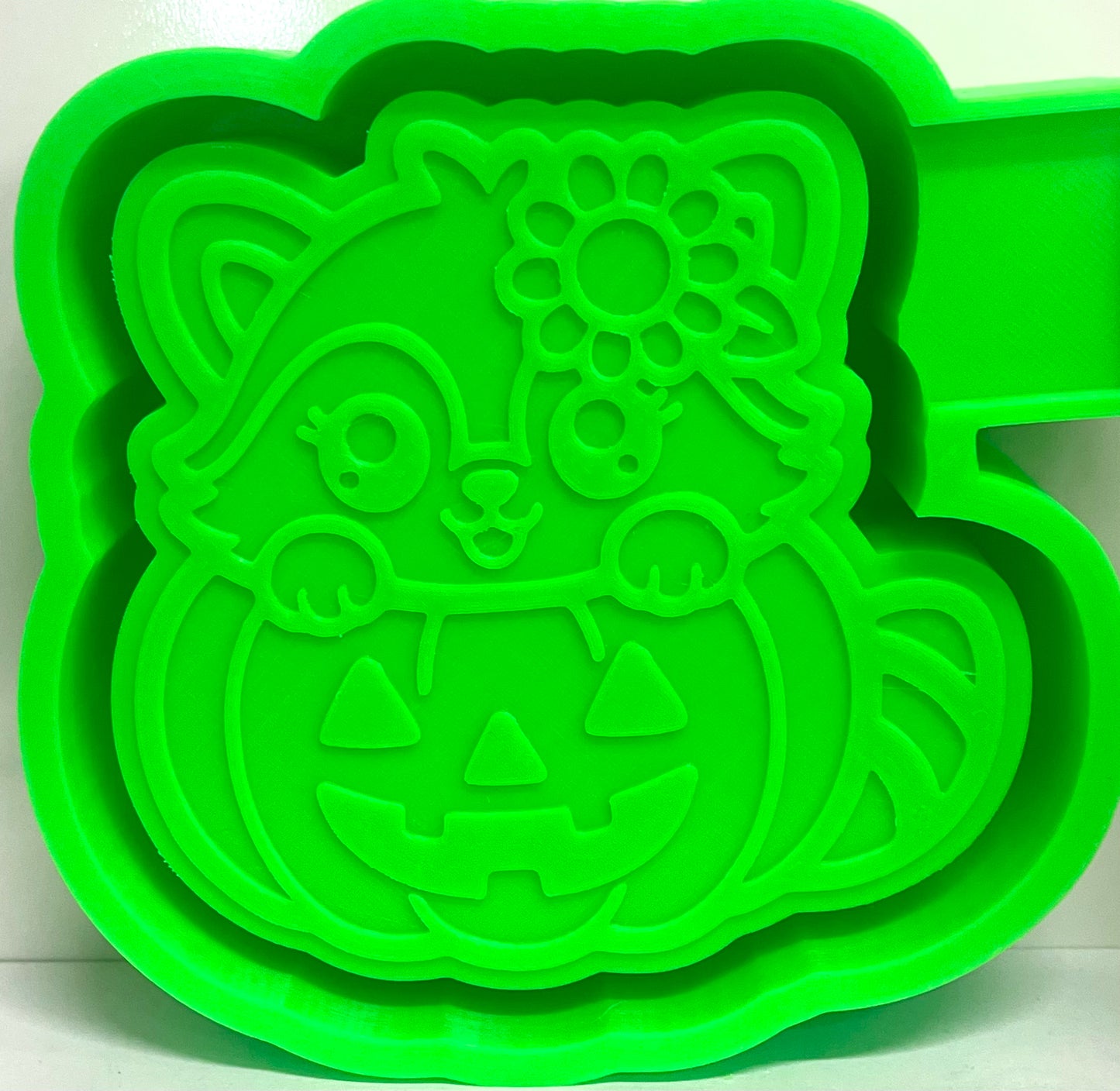 Raccoon in Jack O’ Lantern Mold