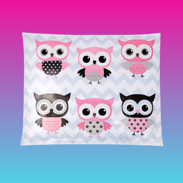 Cute Owls Poly Mailers