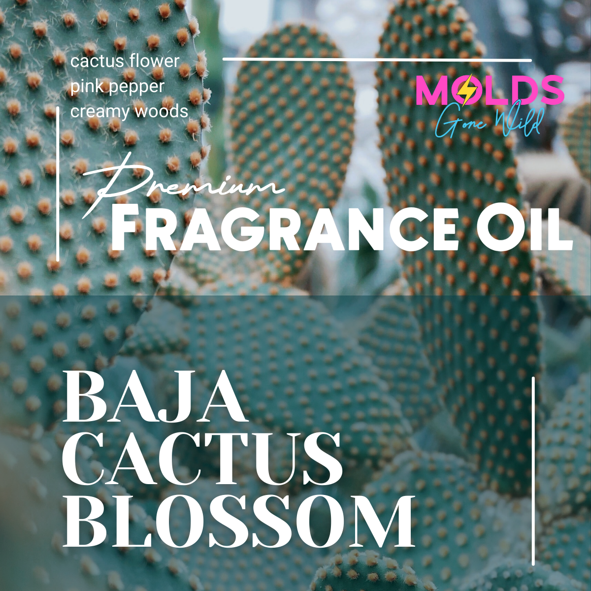 Baja Cactus Blossom Fragrance Oil