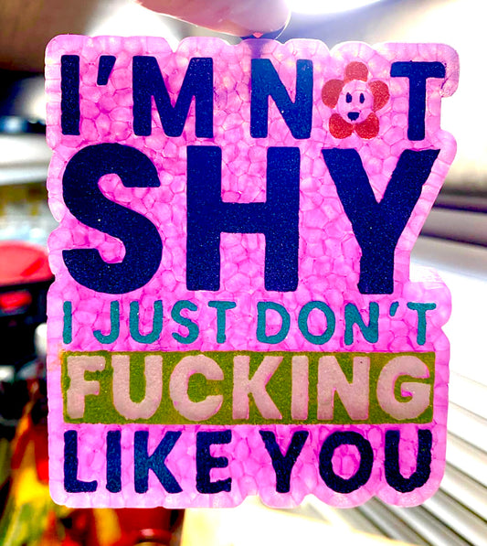 I’m Not Shy, I Just Don’t Fucking Like You Mold