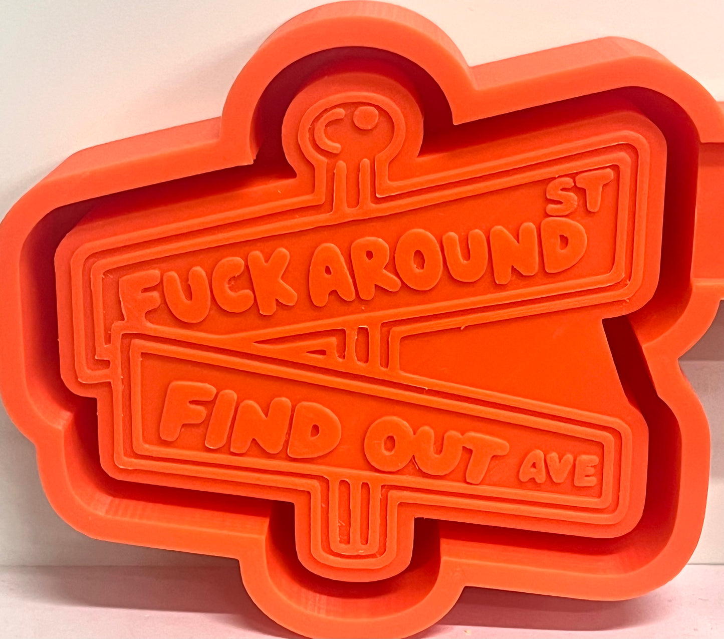 Fuck Around and Find Out Street Signs Mold