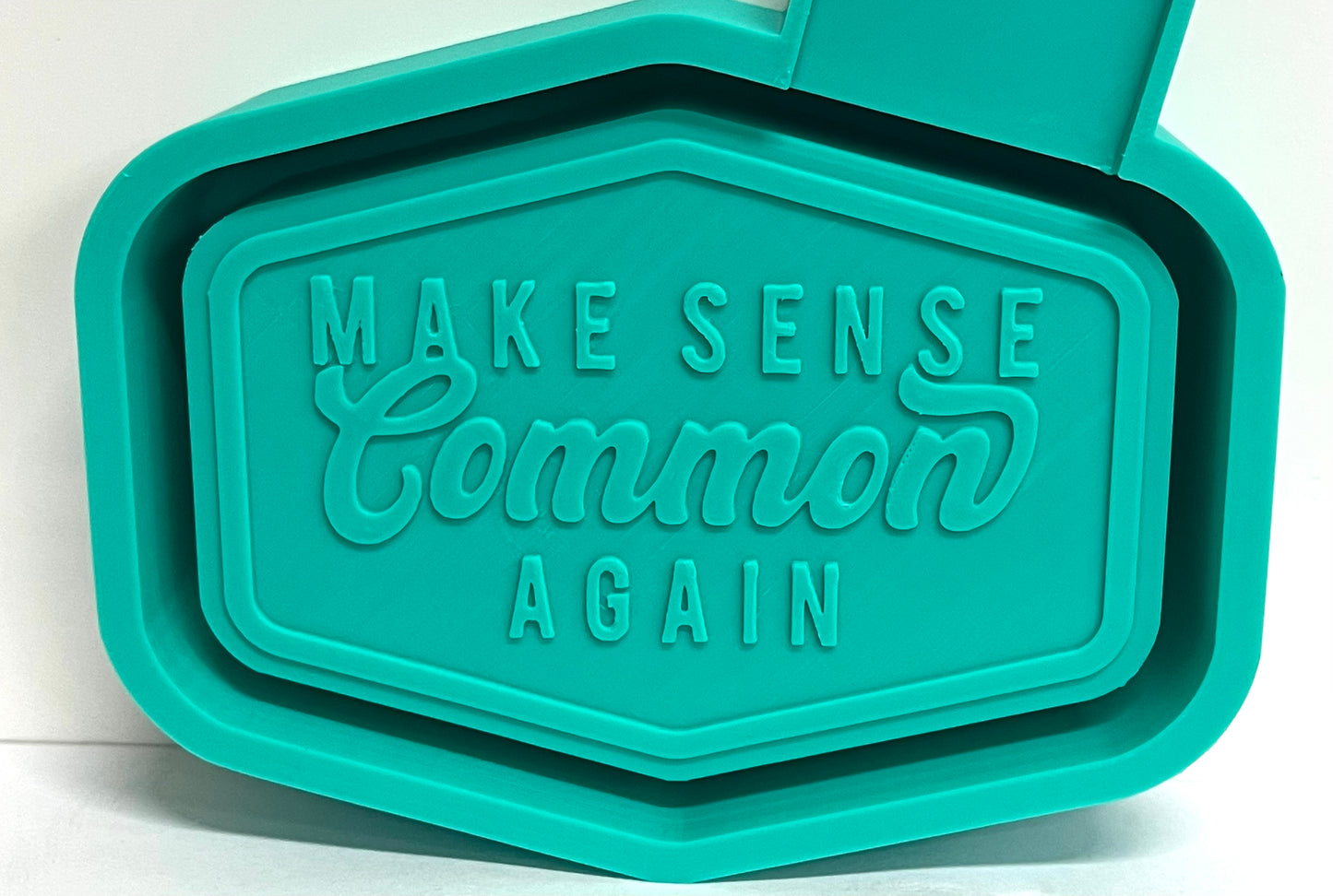 Make Sense Common Again Mold