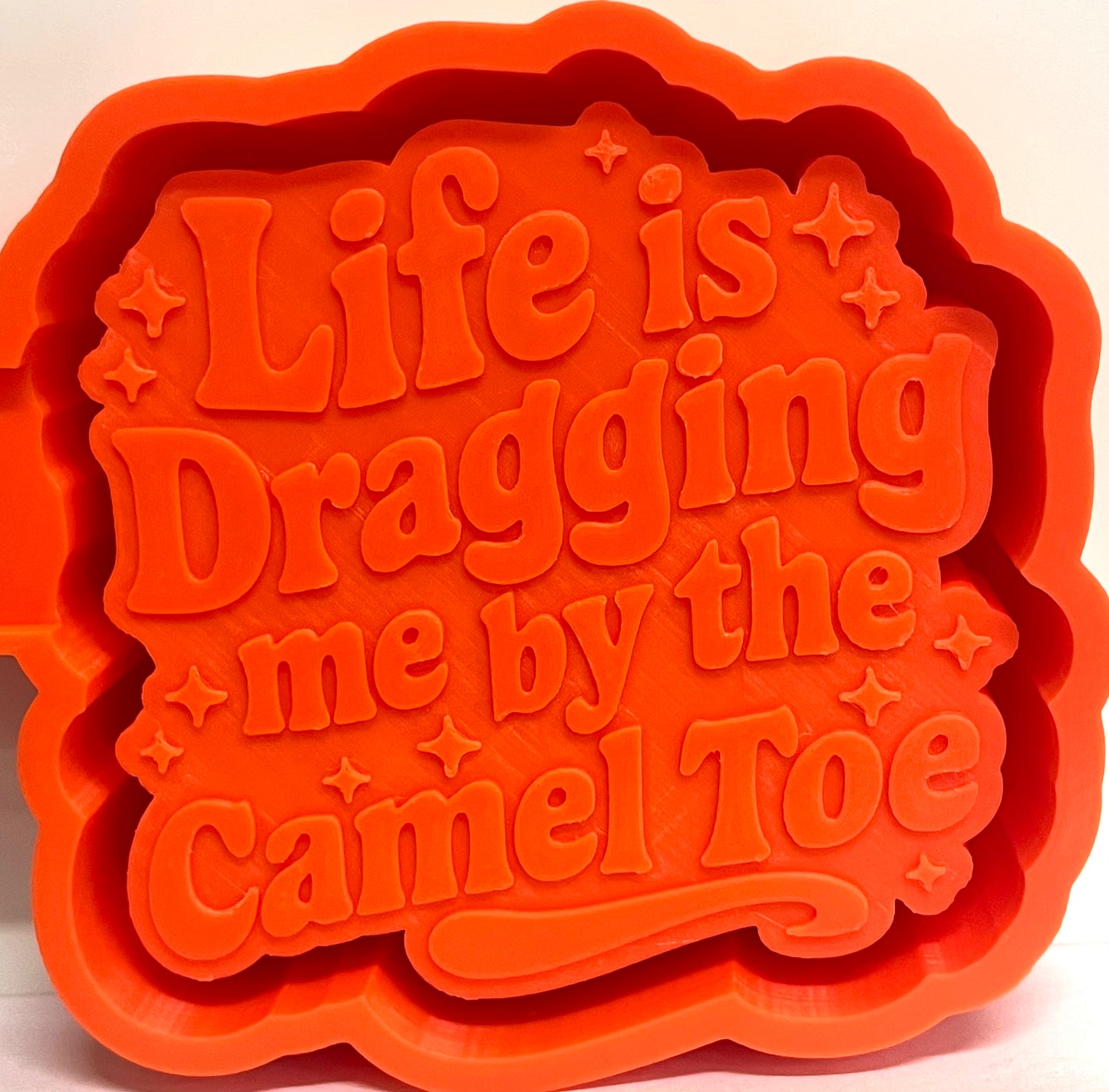 Life Is Dragging Me By The Camel Toe Mold