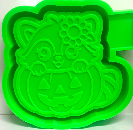 Raccoon in Jack O’ Lantern Mold