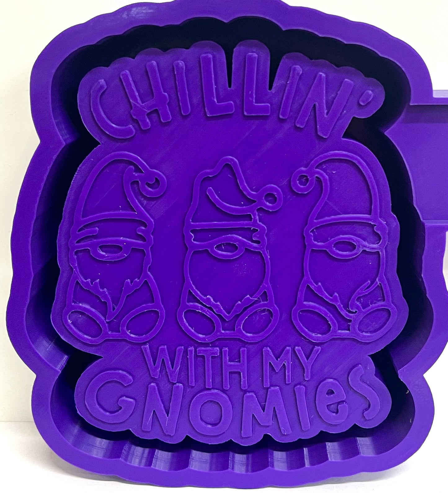 Chillin’ With My Gnomes Mold