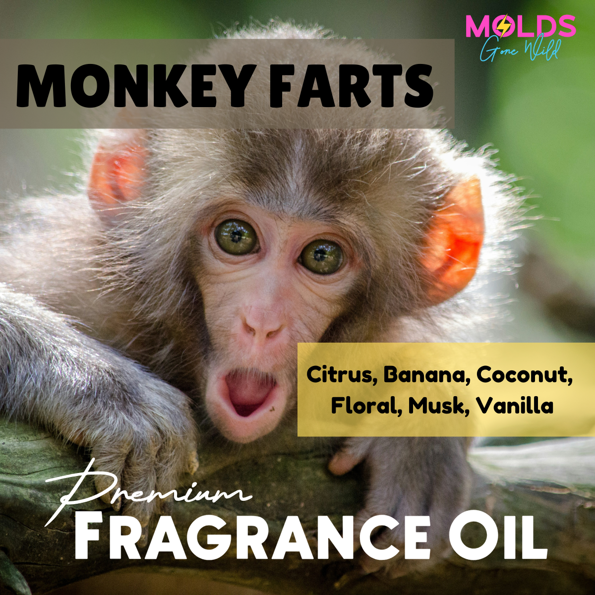 Monkey Farts Fragrance Oil